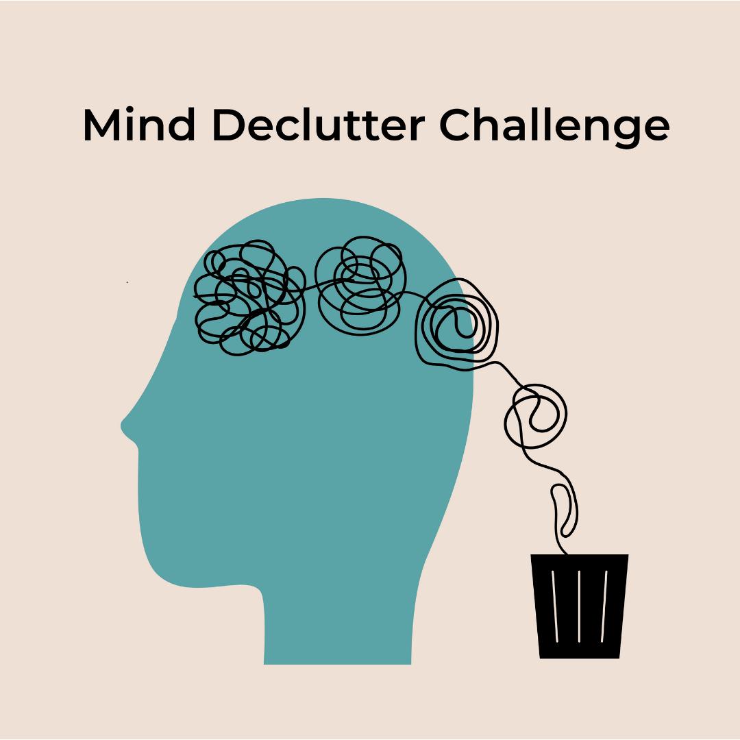 Ciara Conlon tweet media