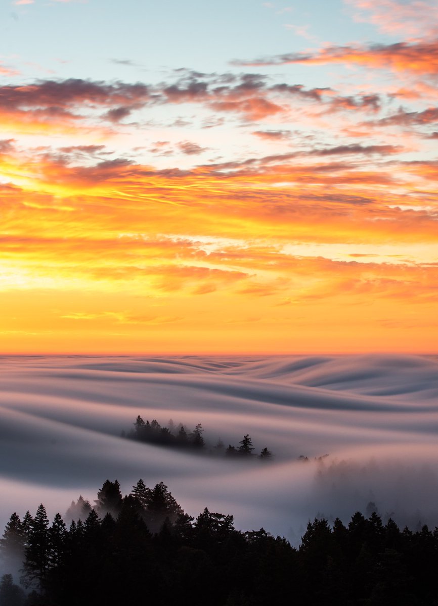 Last nights fog🤯🤯