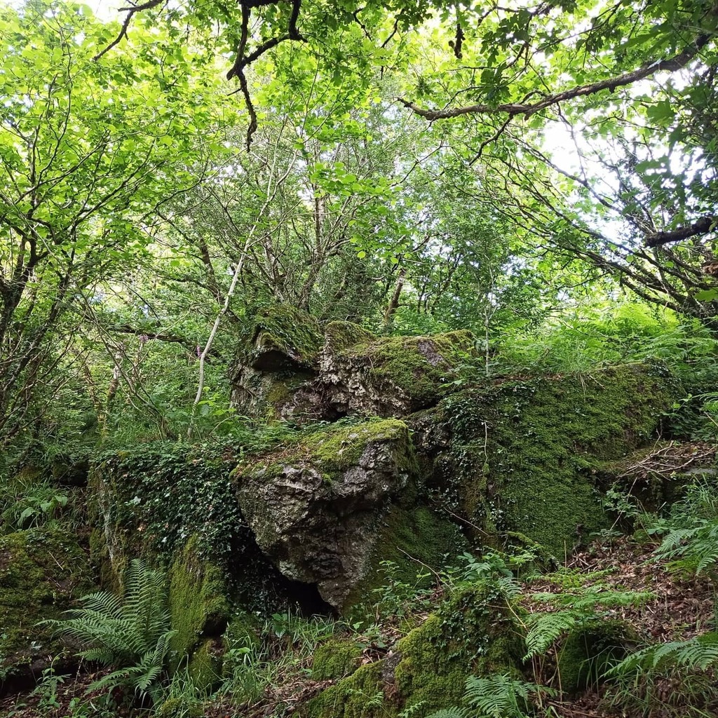 backpackartist's tweet photo. A short Sunday afternoon stroll to bag Meldon Wood Rocks with a but of looking at civil engineering thrown in. Just enough to justify a pint at the end #dartmoor #torbagging https://t.co/S6yuJ3rh0h https://t.co/KGtfAgaV8t