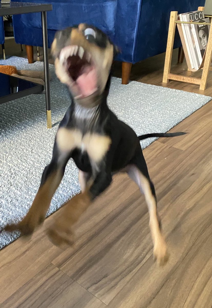 Arnold_FPL Senpai🥷🏽 tweet media