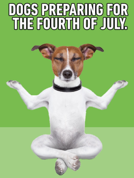 OntheBooksLLC's tweet photo. May your dogs be anxiety free during this 4th of July fireworks celebration. Happy Independence Day!! 💙 🇺🇲 ❤️ https://t.co/MmLdBSB56t