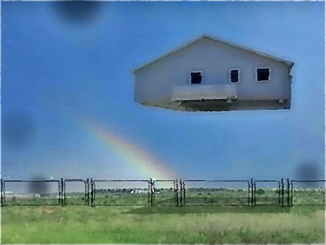 shae delea (@shaedelea) on Twitter photo 