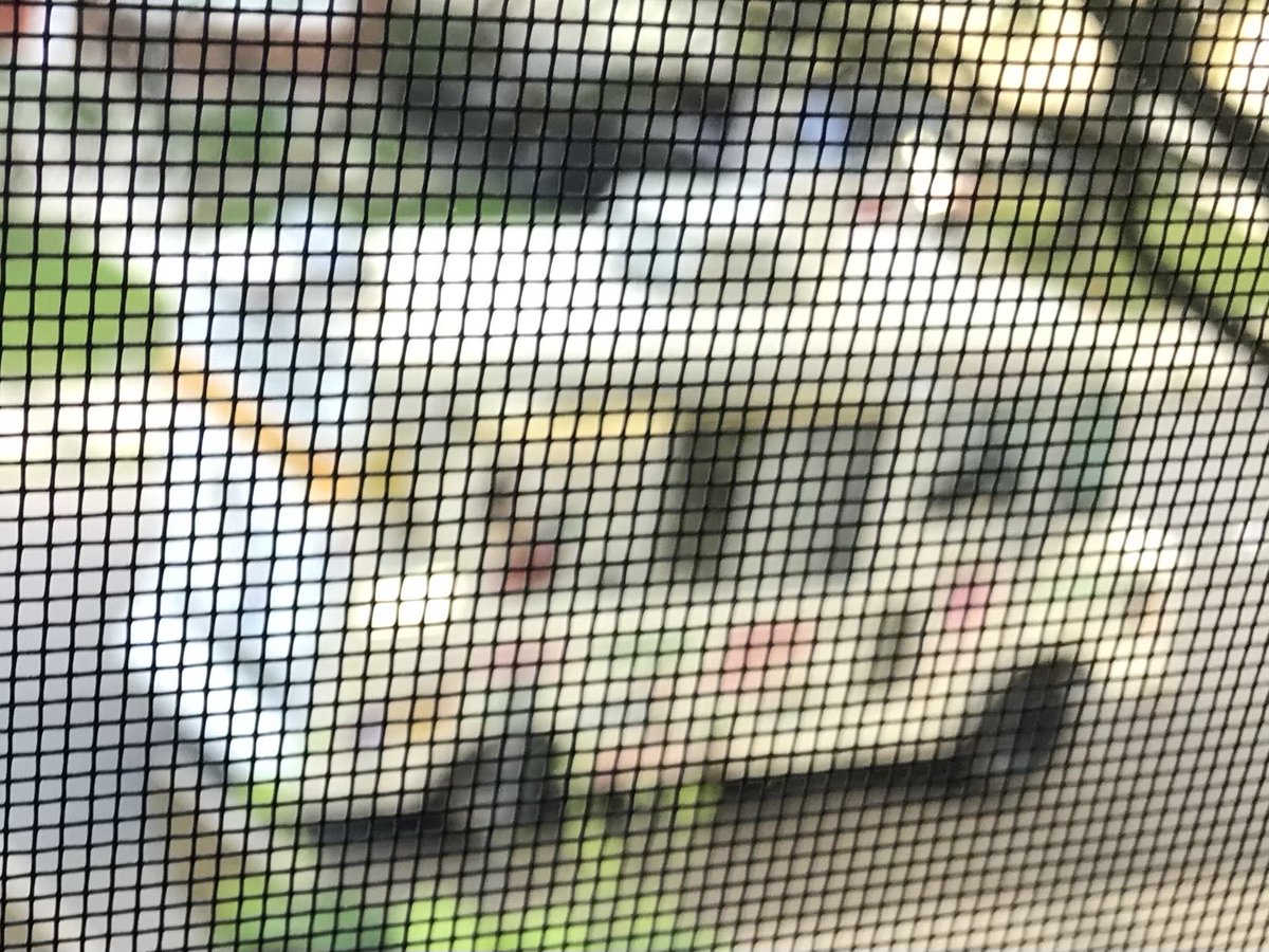 365Ride365's tweet photo. The diesel spewing ice cream truck is playing “La Cucaracha” over and over in front of my home in ⁦@CapitalWard⁩ .  Ice cream for kids is great!  Constant diesel fumes and tunes are polluting my brain… https://t.co/wKfCJP1y7j