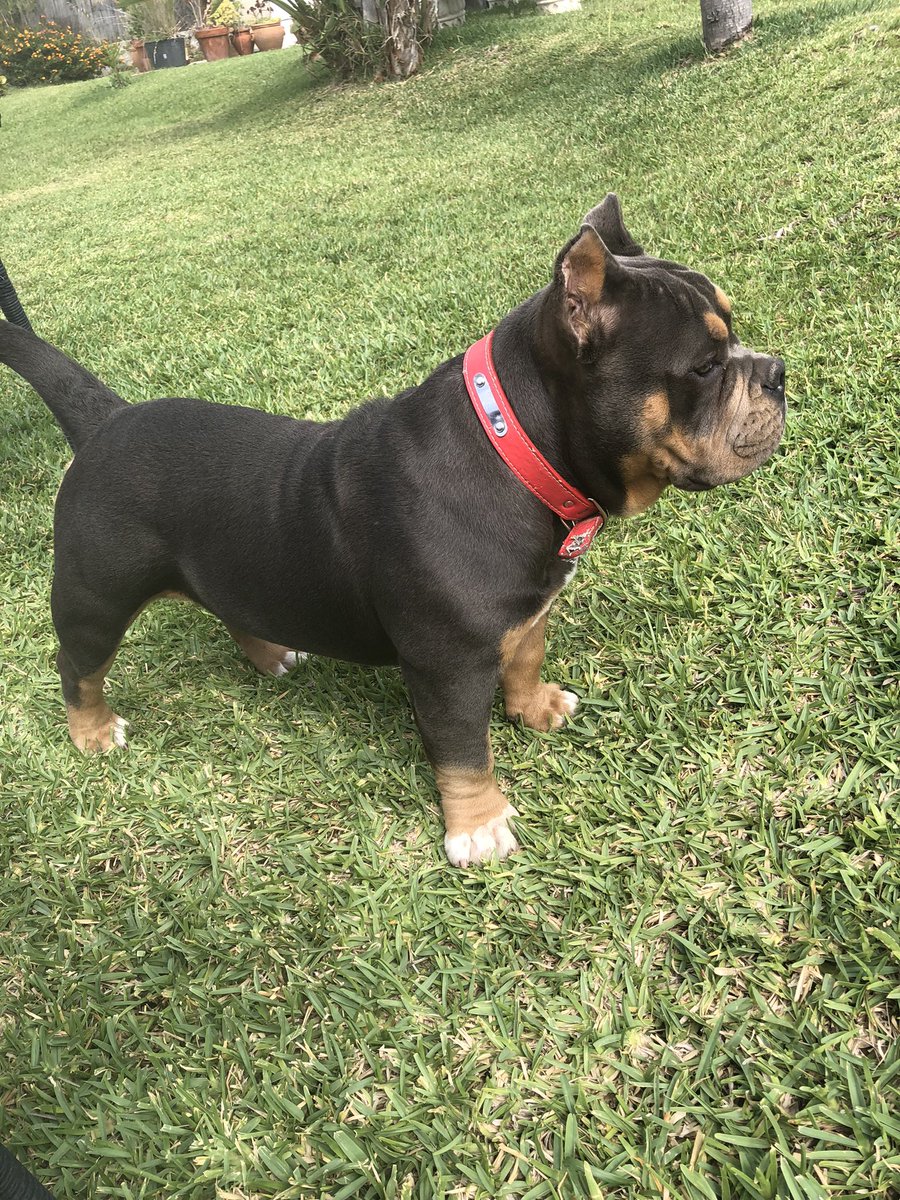 JoseMoralesGrc's tweet photo. My girl ♥️ https://t.co/kMov34bPXh