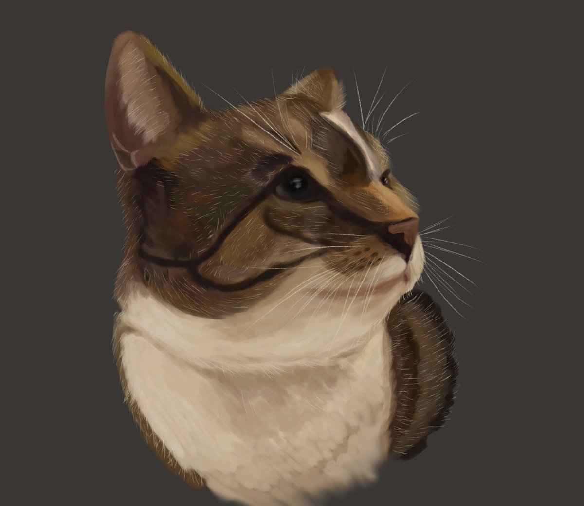 Ducklly__'s tweet photo. @itsraechill I am shy. I do animal art. I have Mika on here (the white dog). I am trying to do other animals and humans as well. If you want some more Mika art as well as you I can try. https://t.co/xTegGkTV95