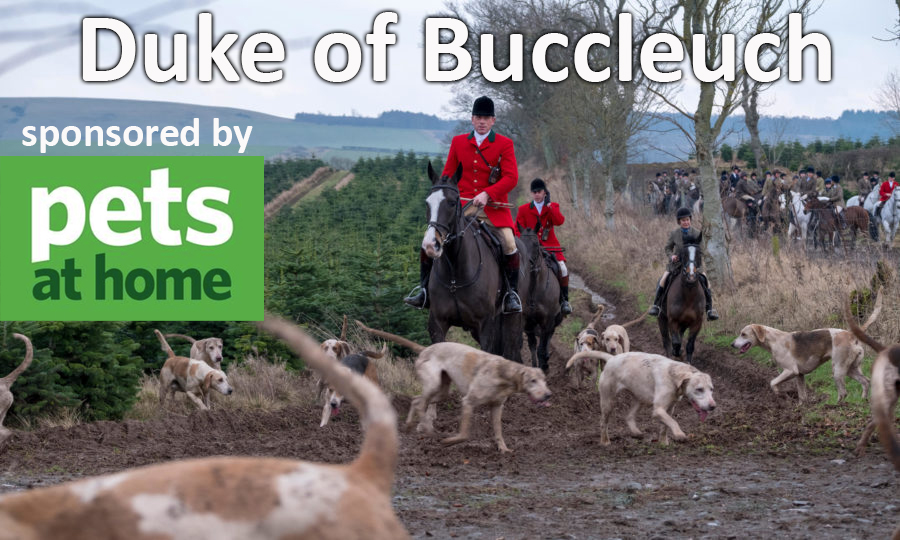 HlReports's tweet image. Duke of Buccleuch hunt up in Scotland, killing foxes, killing hounds, creating mutant canine diseases and losing lots of money. 
Now up on Hunting Leaks