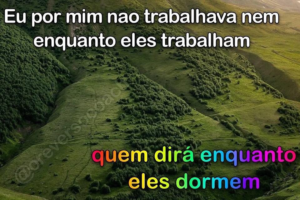 veraholtzirreal's tweet photo. https://t.co/Ijk31N4BVv