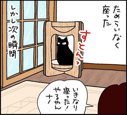 うちの猫"おっとりにも程がある"! 大好きな場所の変化に気付かない愛猫と、鈍感さに驚く飼い主の漫画 https://t.co/YFCon9Z7YI @itm_nlabより 