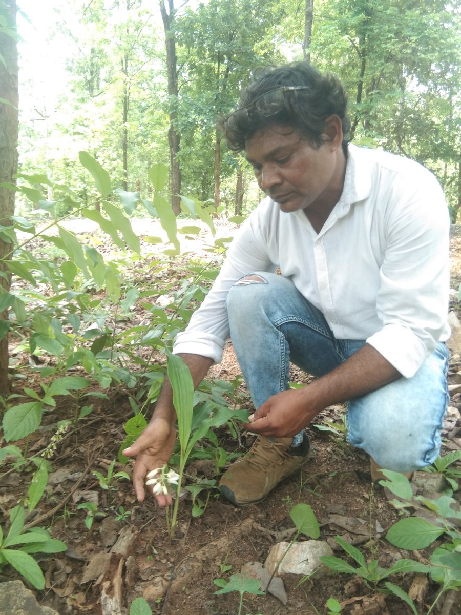 Deep2049641188's tweet photo. Orchid sp. found today. https://t.co/6VXrAj61E0