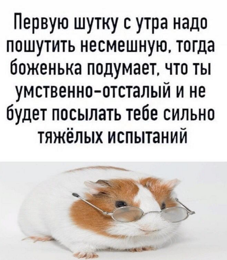 so_mad_so_funny's tweet photo. https://t.co/CGZvJygQIO