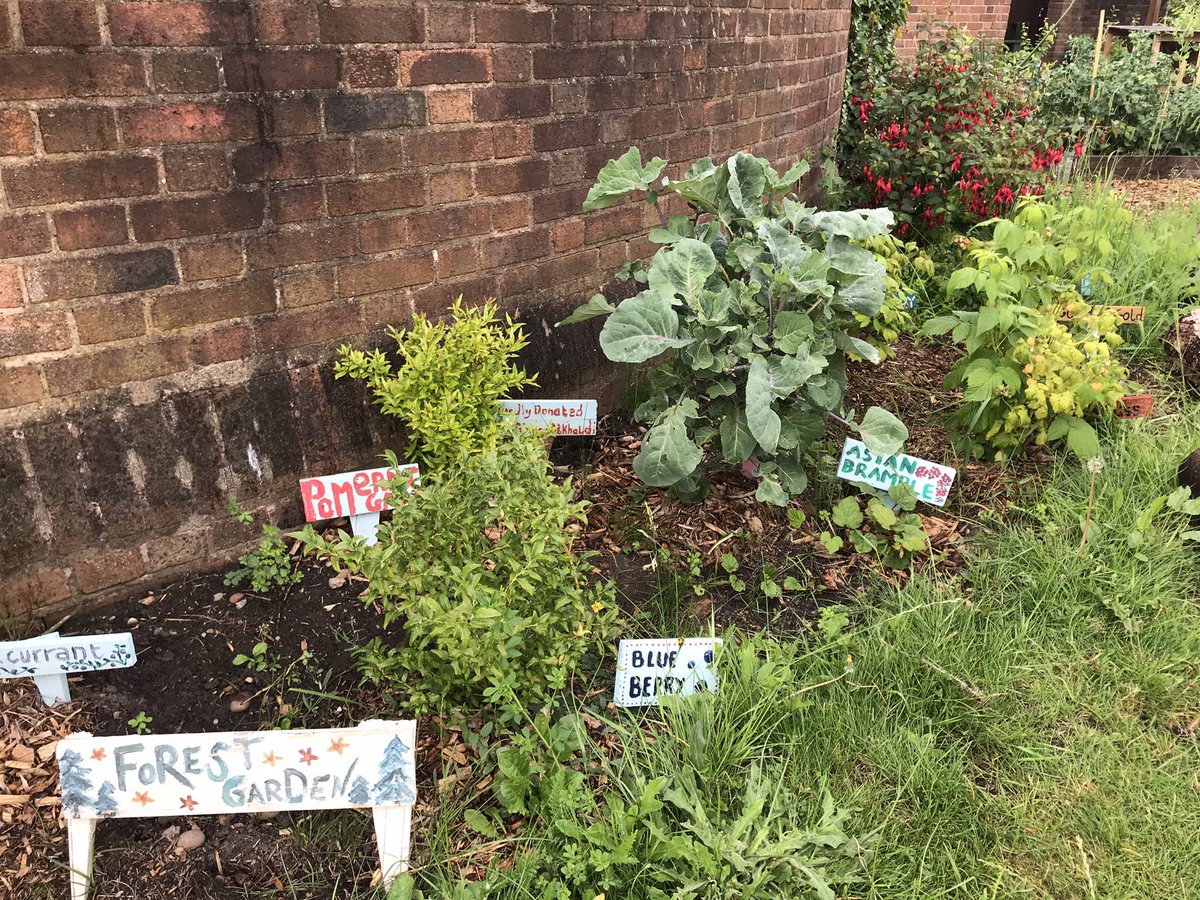 Grow With Joe tweet media