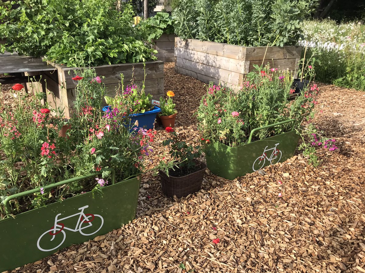 Grow With Joe tweet media