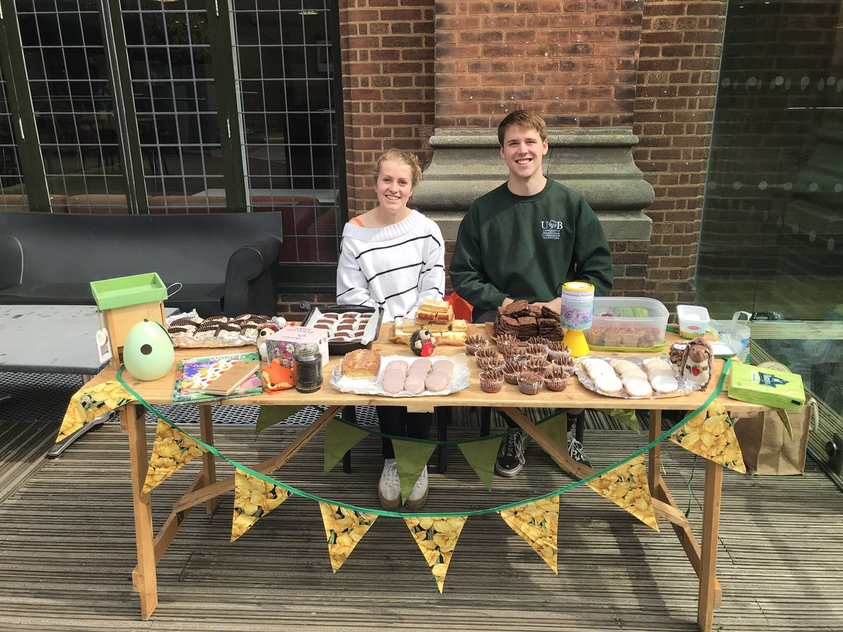 Kathy d'Apice tweet media