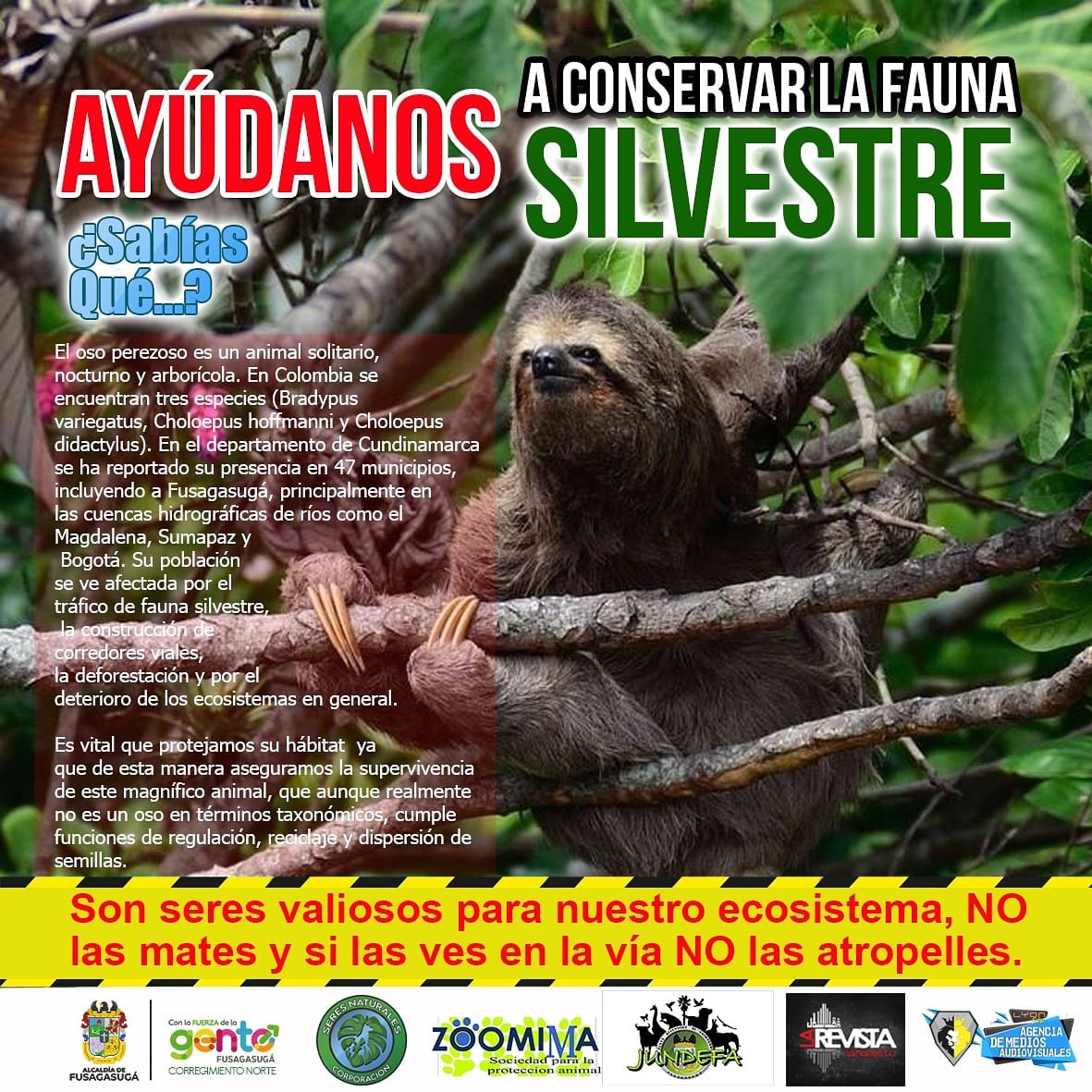 CSeresNaturales's tweet photo. #protegesuhabitat #protegesuvida https://t.co/HqjYrI2YtE