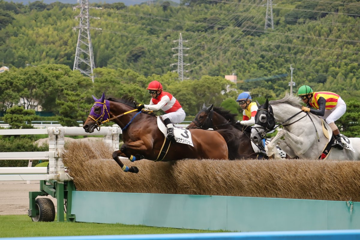 森一馬 画像 最新情報まとめ みんなの評判 評価が見れる ナウティスモーション 森一馬 画像 最新情報まとめ みんなの評判 評価が見れる ナウティスモーション