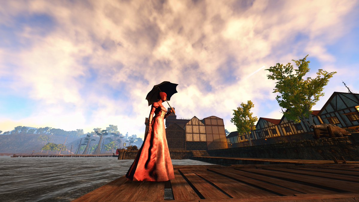 SOTA_Kitty tweet media