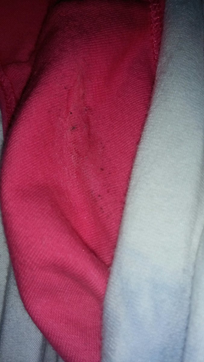 Smp lagi... ga ada bh/miniset karna emang tt nya blom tumbuh... 😁😁