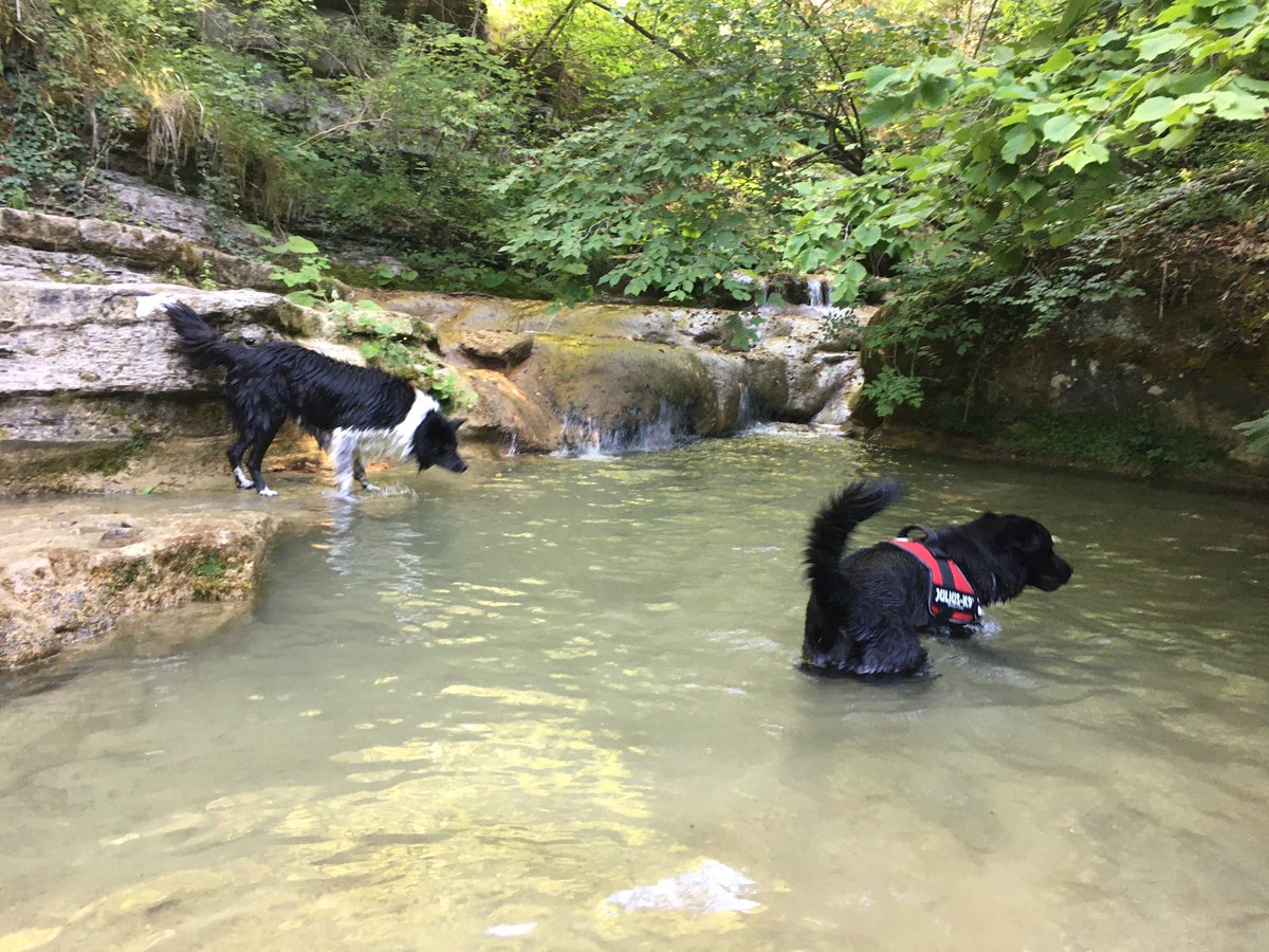 USentieri's tweet photo. Cascate del Vertola https://t.co/jfFWxSTavk