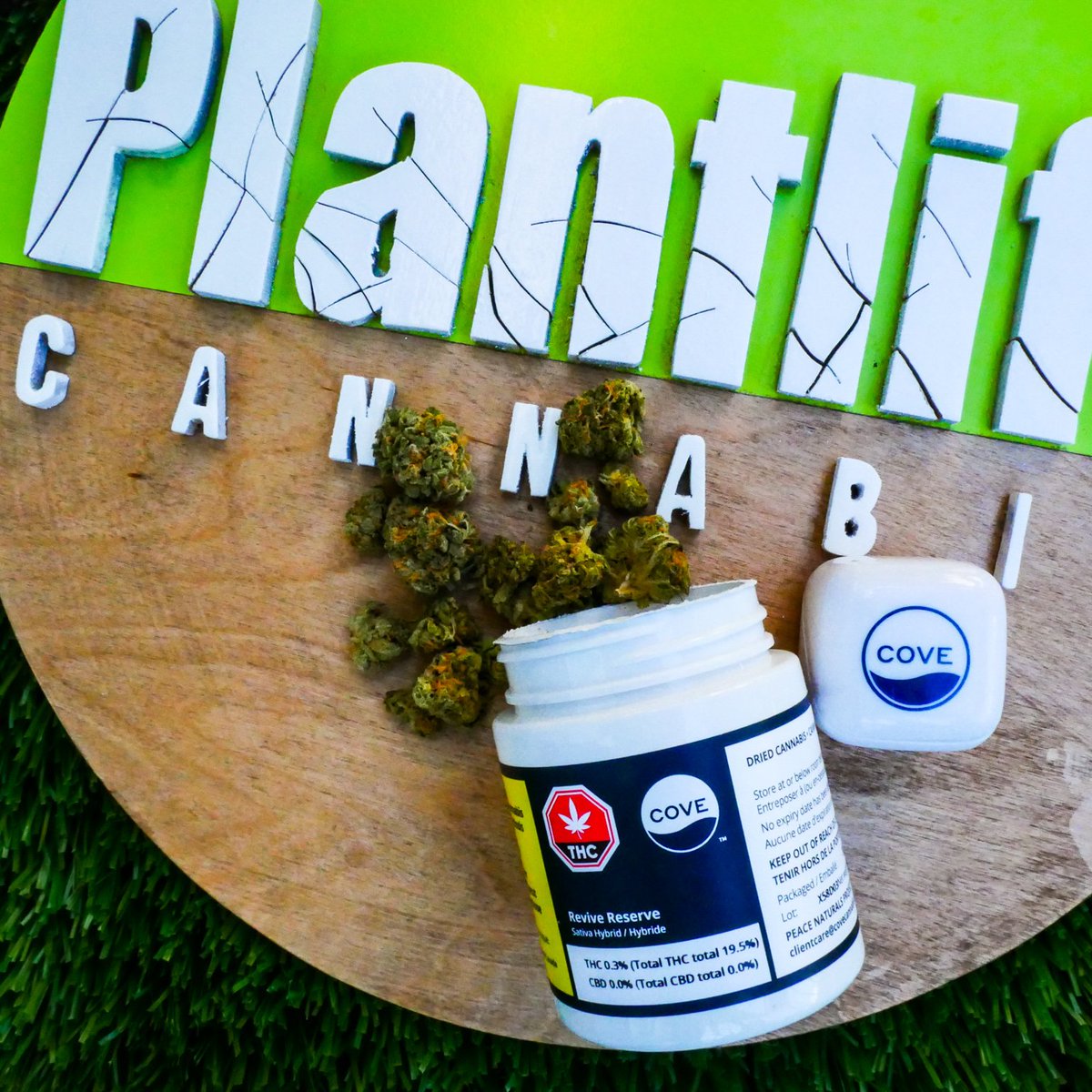 Take a moment to stop and catch up with yourself. 😌
-
Find your place in the cove. 🌊
-
#plantlifecannabis