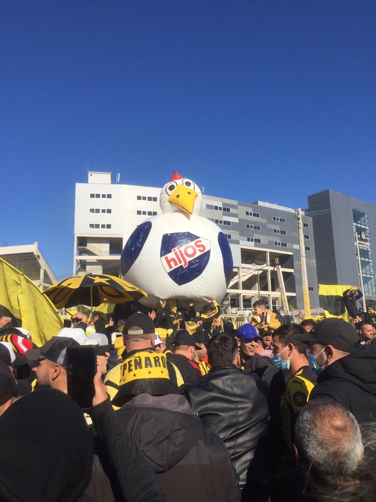 JuanVives_'s tweet photo. Sos la gallina..: https://t.co/f87KefhsSW