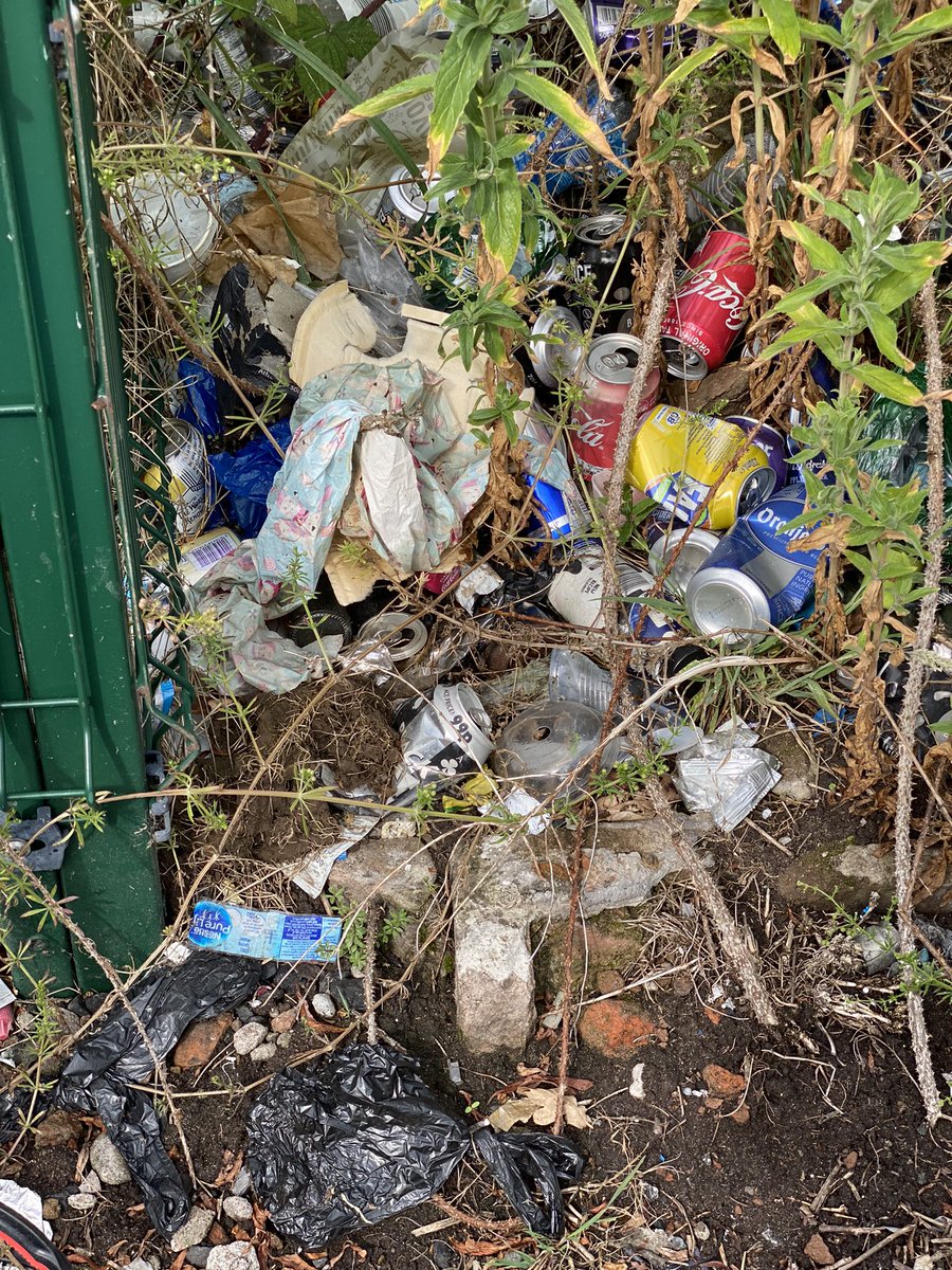 WRotary's tweet photo. Litter picking in Warrington - 30 people 95 bags in two hours. People just need to stop throwing rubbish out of the car. https://t.co/vhwxUD49VF