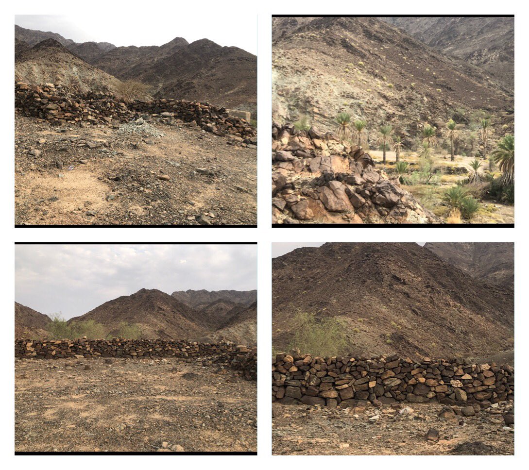 فلج سوسا:فلج غيلي حي يقع بجنوب شرق منطقة الفتح بيهلا،كانت هناك سابقاًمنطقة سكنية مبنية بالحجارة ولا تزال معالمها باقية حتى يومنا هذا، قامت الحكومة مؤخراً بصيانة ساقية الفلج واللجل للاستفادة من تلك المياه الغيلية،وتعتبر منطقة سوسا من مناطق الاستجمام لدى البعض.