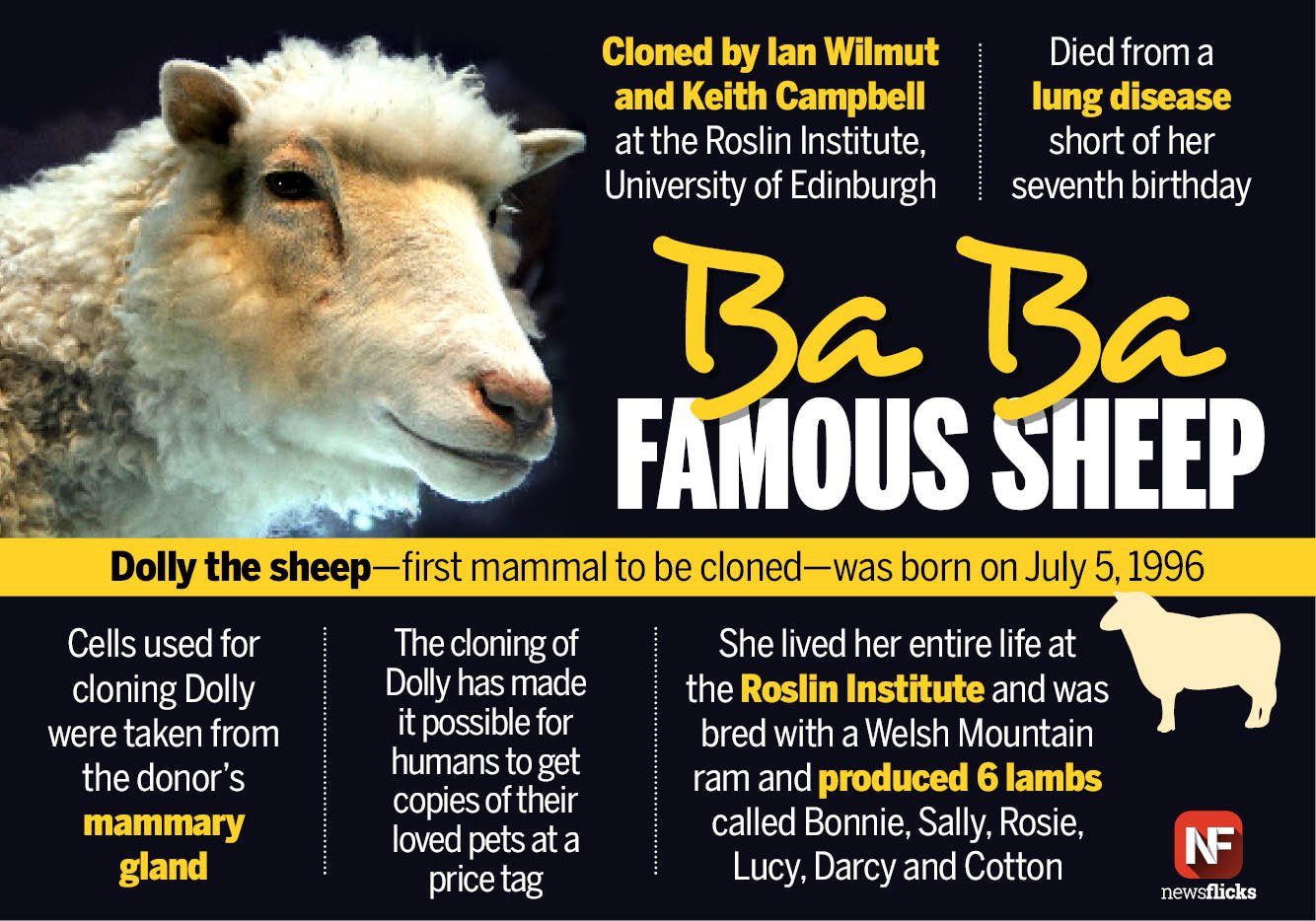 Science Forum -PSF on Twitter: "Dolly the sheep, the first mammal to be cloned, was born on July 5, 1996 https://t.co/kLovtUKG1L" / Twitter