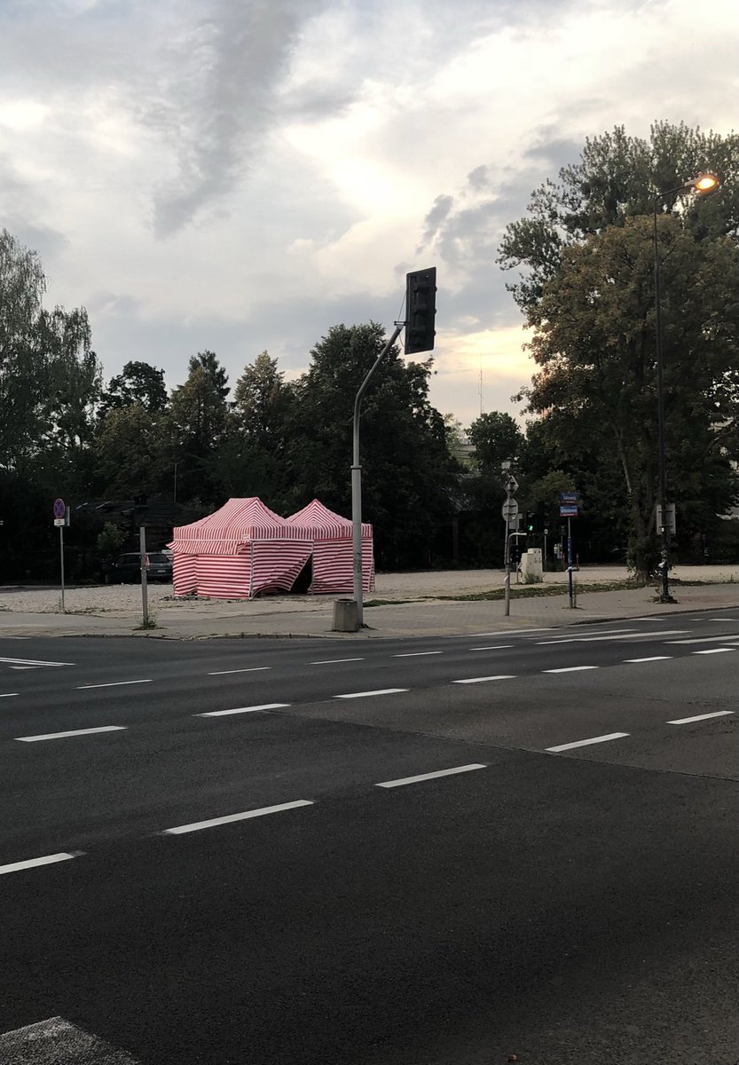 Isolines Magazine tweet media