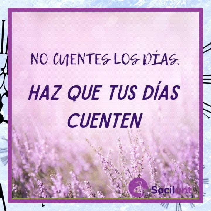 socilant's tweet image. 🐜 instagr.am/p/CQ6cEauJBzZ/