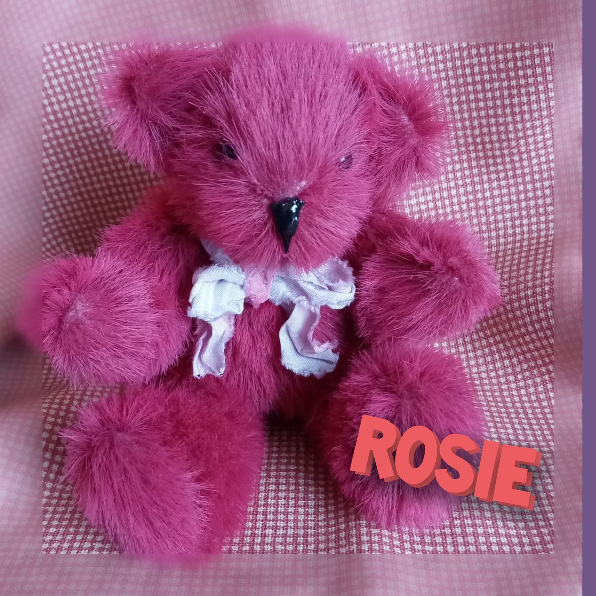 <a href="/TheoPaphitis/">Theo Paphitis</a> Hi Theo, I would love to win #SBS because I'm really moving forward with my business.  My teddies are now developing personalities to bring them alive.  I've learnt so much and want to learn more about business and by joining SBS I can do more, like networking, helping others.