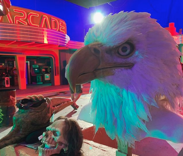 David Sandberg tweet media