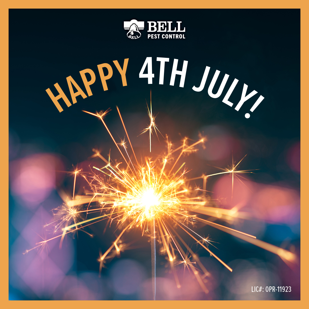 BellPestControl's tweet image. Happy 4th of July #4thofJuly #4thofJulyWeekend #sacramento #bellpestcontrol