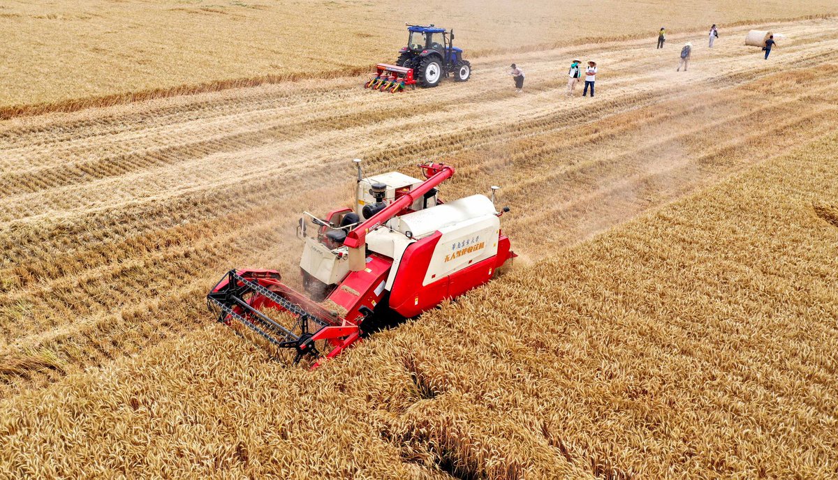 zaidalamr's tweet image. #الصين تقيم حفل افتتاح أول قاعدة تجريبية لمزرعة ذكية بدون مزارعين في مقاطعة آنهوي. تقوم بجميع العمليات من تسوية الأرض وحرثها وبذرها وإدارة الحقول وريها وحصادها، مايمثل عملية إنتاج متكاملة باستخدام التكنولوجيا والآلات الزراعية الذكية.

#AI #tech #Robotics #Robot 

@cgtnarabic