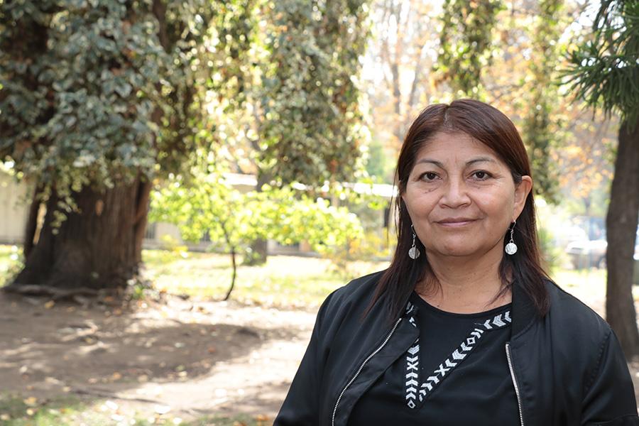 Elisa Loncon, nacida en la comunidad Lefweluan, fue parte del Consejo de Todas las Tierras, impulsó la bandera mapuche y la presentación del proyecto de Ley de Derechos Lingüísticos. ➡️bit.ly/2SKsfIo