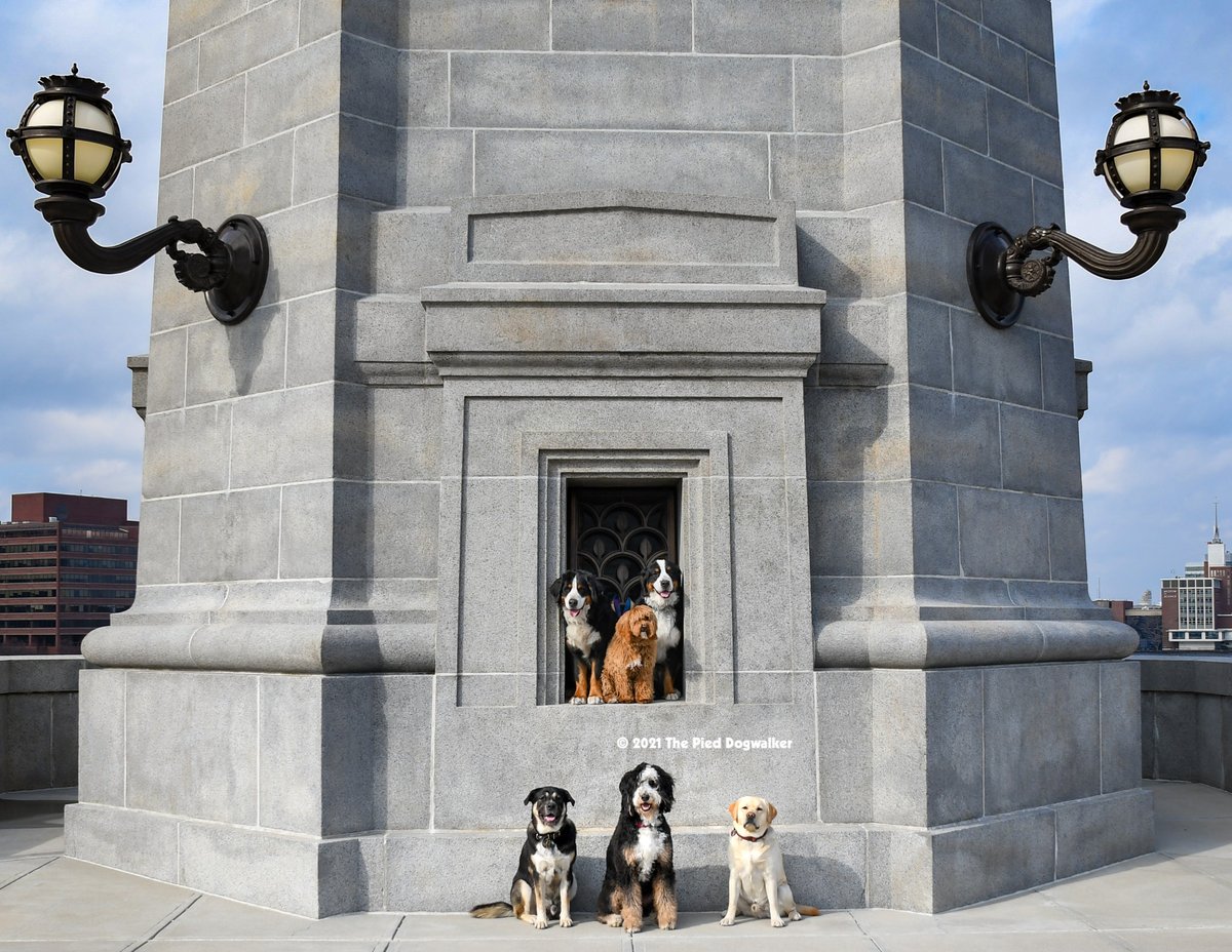 Steven Watson tweet media