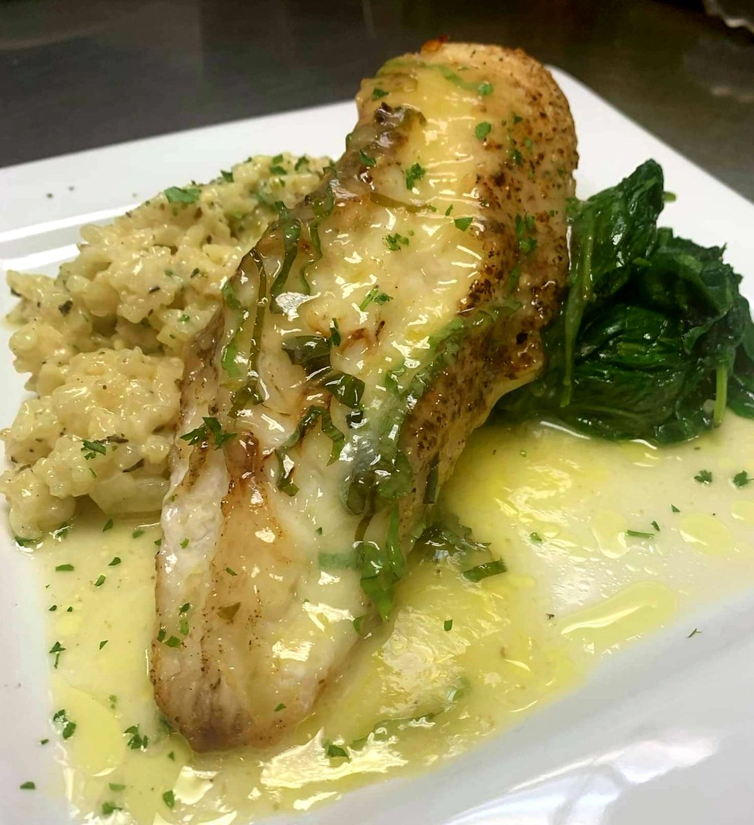 Silver Birches tweet media