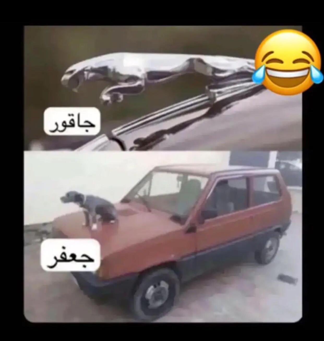 جاقور