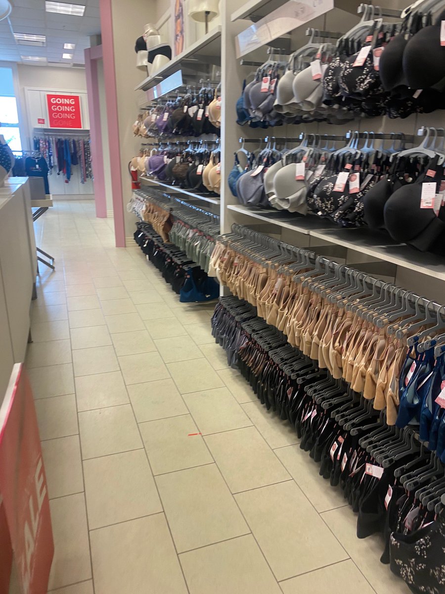 Michelle Stimpson tweet media