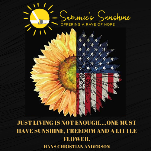 SammiesSunshine's tweet photo. Happy 4th of July! We hope everyone has a wonderful day with their friends and family.  Stay safe and don't forget to buckle up! #SammiesSunshine https://t.co/lmPaUHHXqO