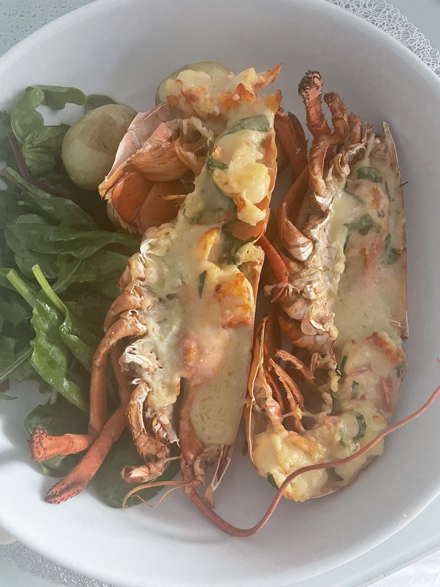 Jambo Laura🐢🐡 tweet media