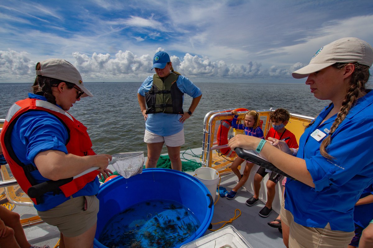 Welcome aboard The Discovery! 🚤🔬
Book your tour by visiting our website (link in bio) or going to tbwdiscoverycenter.org/eco-vessel/ Can’t wait to see you on board.