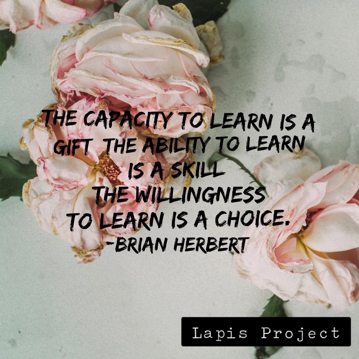 LapisProject tweet picture