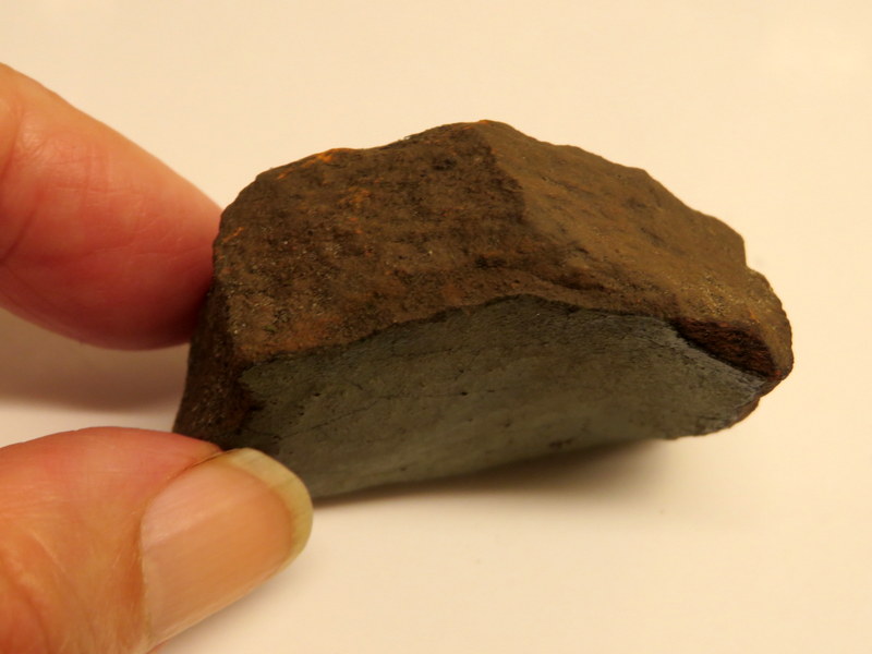 cemvanhout's tweet photo. #archeologie #wandelen #Holterberg #Beuseberg #Holten #Overijsel Mijn blik is vaak op de grond gericht. Afval = keramiek l. ijzer r. en steen m. worden blijkbaar al eeuwen gebruikt om (oude) paden effen en droog te houden. Zit hier nog wat interessants tussen? @DeArcheoloog https://t.co/0vunBlEYdm