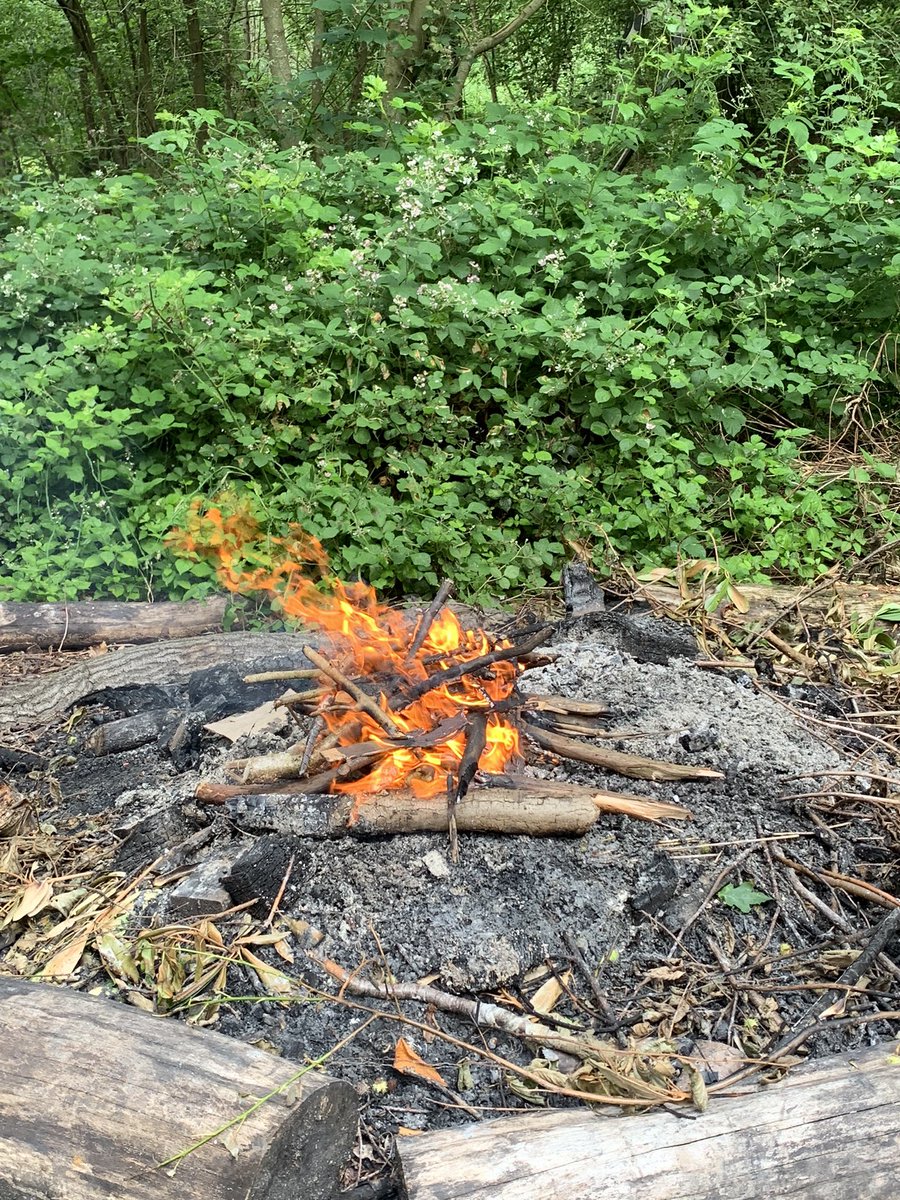 DrAHalls's tweet photo. Looking forward to the Monday morning classic conversation of ‘what did you do at the weekend?’ when mine involved running a outdoors skills event for Girlguiding leaders. Featuring fire, popcorn, cakes in oranges, and my beloved risk assessments. https://t.co/s9laQZfXtE