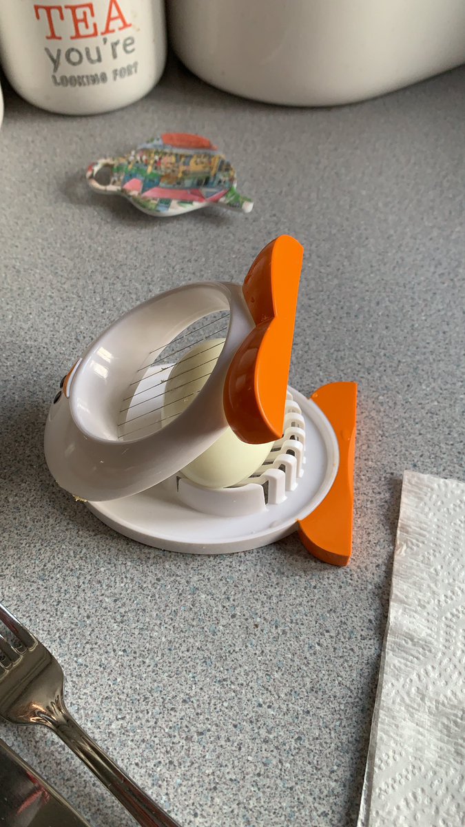lisacoop13's tweet photo. @tomallencomedy @ClaudiaWinkle bit late to the party but you always need an egg slicer https://t.co/mHZLeHQq1A