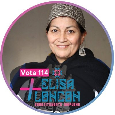 Miguel Angel S Tweet Elisa Loncon Elisaloncon Presidenta Convencion Constitucional Trendsmap