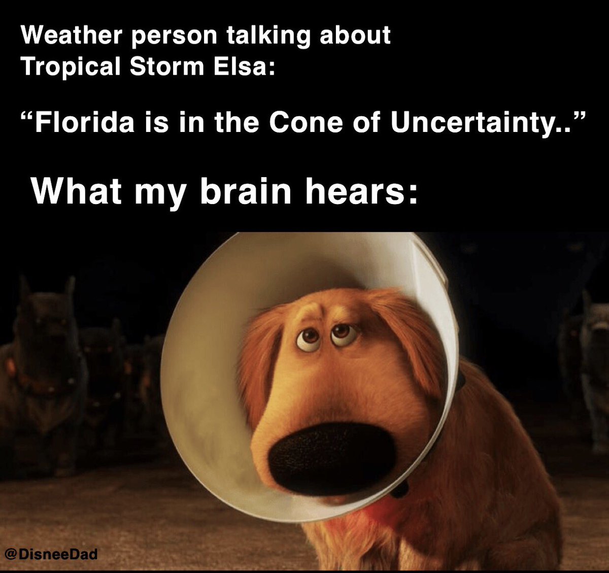 DisneeDad's tweet photo. #TropicalStormElsa #ConeOfUncertainty #ConeOfShame #DisneeDad #DisTwitter https://t.co/rGO6OSD0ze