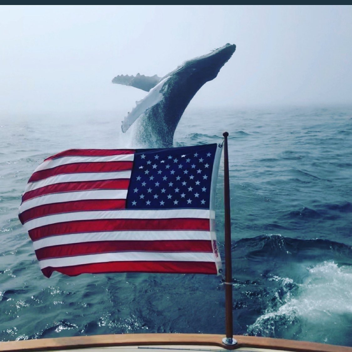 BigRedKey's tweet photo. Happy Independence Day! https://t.co/ydTGv4n3a6