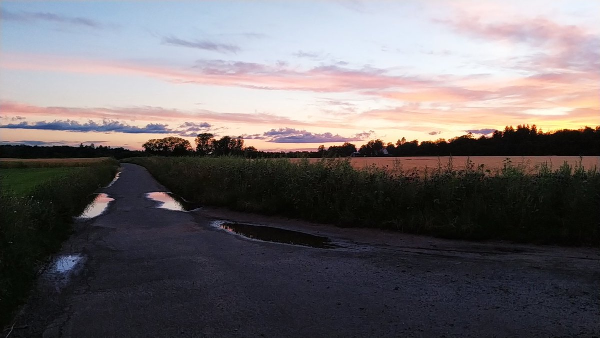 fil0's tweet photo. Sunsets @ Oberfeld are rarely disappointing. https://t.co/7pnn4pnak1