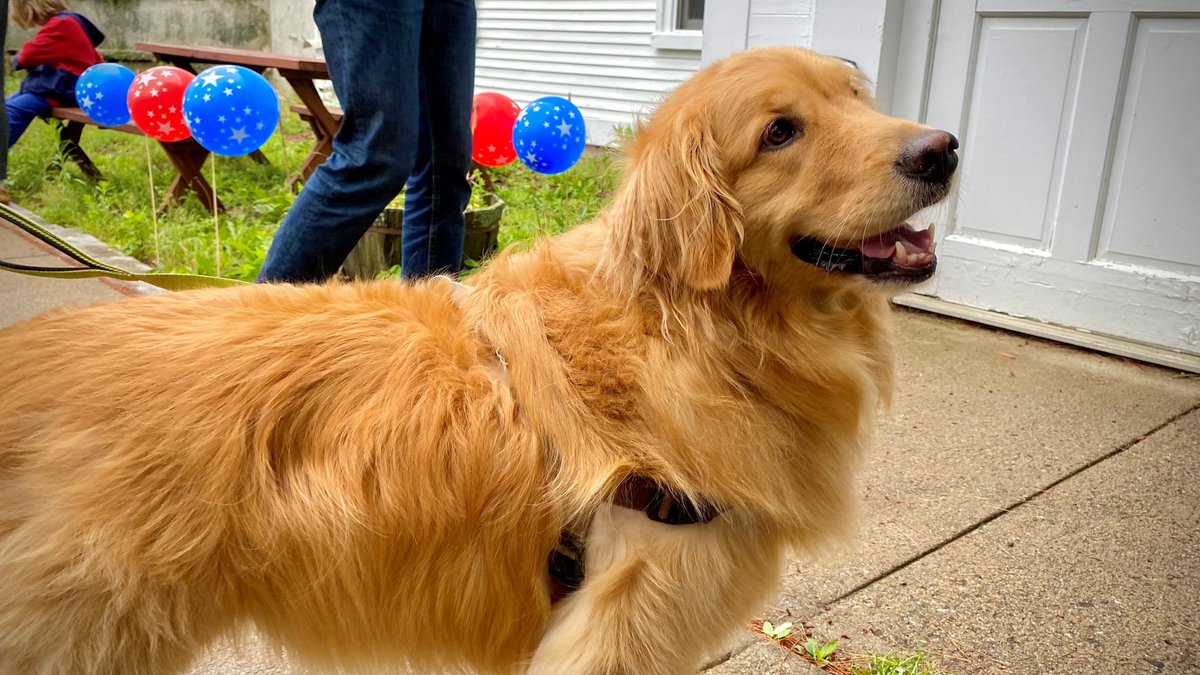 I’m thrilled July 4th in Gilmanton NH is BACK, after Covid-cancellation last year. Town parade, shortbread with strawberries &amp; cream, hugs from friends! We can celebrate thanks to vaccine and many heroes. Still more to do to keep everyone safe. Happy Birthday USA! (1/3)